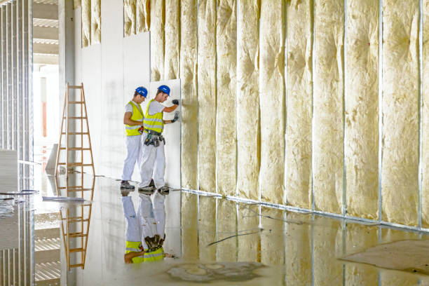 Best Residential Insulation in Three Lakes, WA